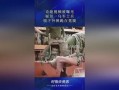 奇葩最新爆料视频,惊人内幕曝光，真相令人震惊！